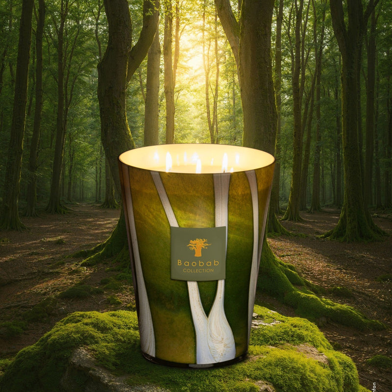 Woods Sherwood Scented Candle (6.5kg)