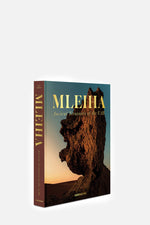 Mleiha: Ancient Treasures of the UAE Book