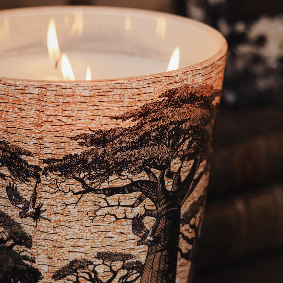 Sacred Trees Mankono Scented Candle (2.3 kg)
