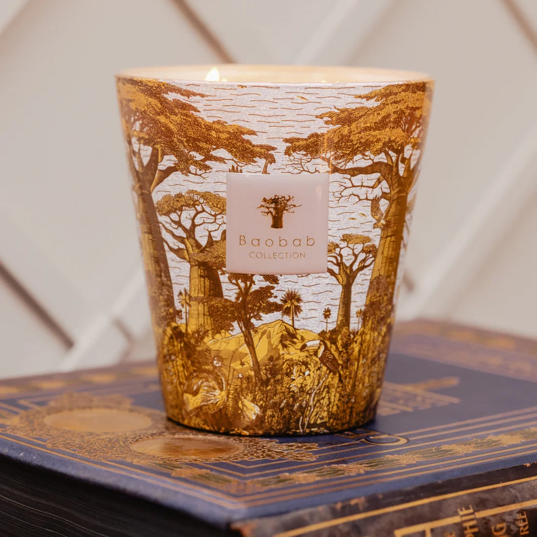 Baobab Sacred Trees Bounkani Scented Candle – Max 24