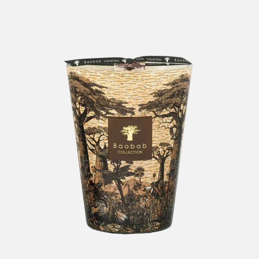 Baobab Sacred Trees Mankono Scented Candle – Max 24