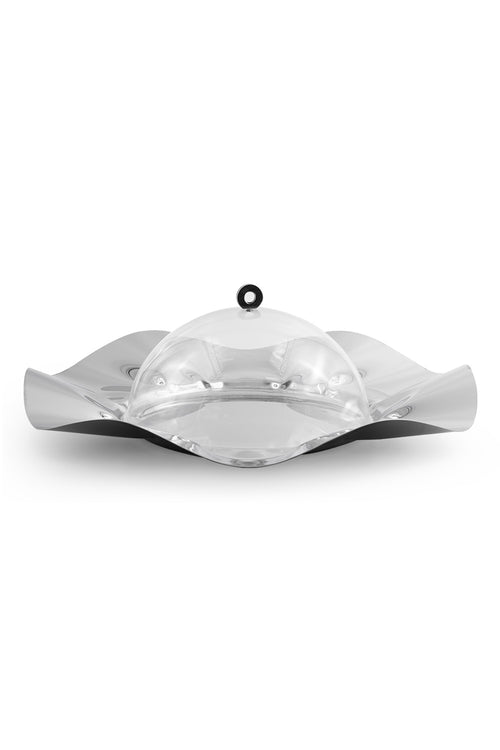 Flower Plate with Dome, 51cm, Silver