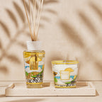 My First Baobab Rio Gift Box
