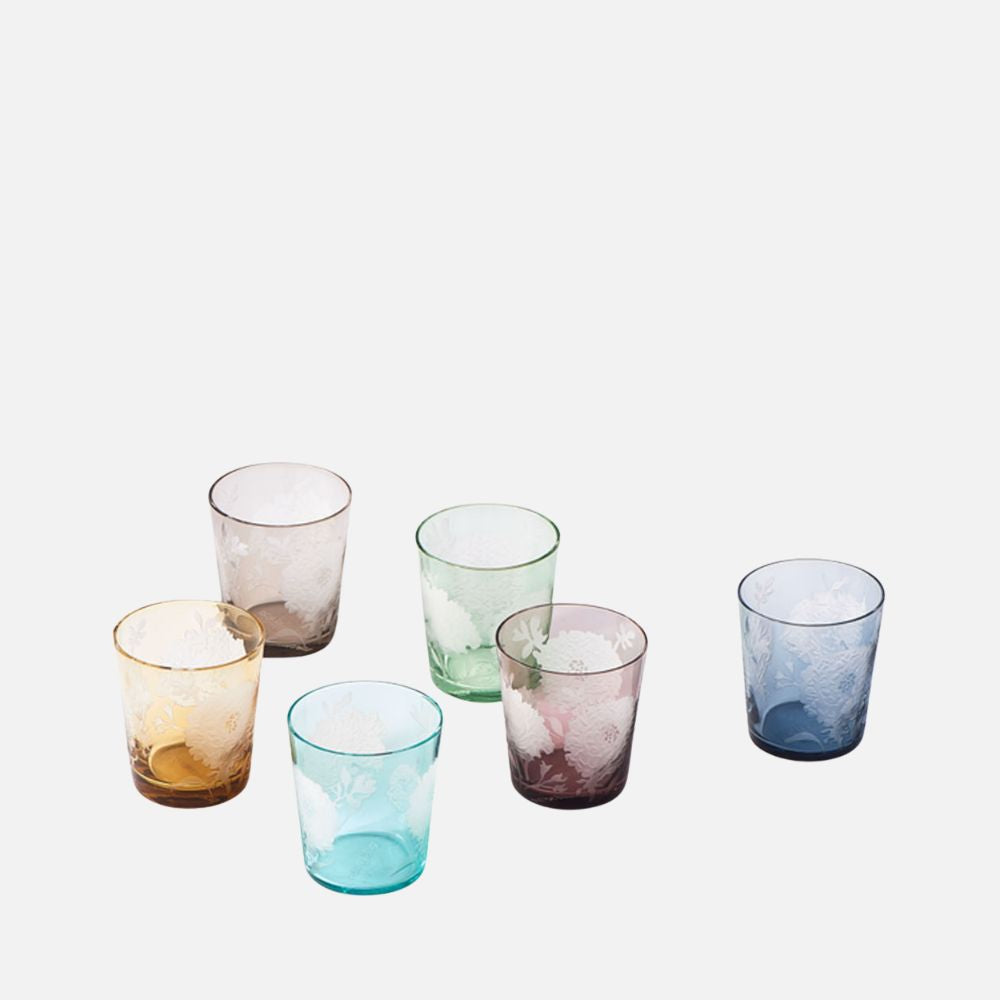 Peony Multicolour Tumblers, Set of 6