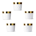 Sip-of-Gold Rode Champagne Goblet